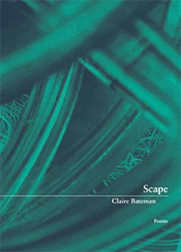 Cover image for Scape