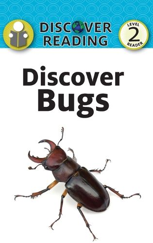 Cover image for Discover Bugs