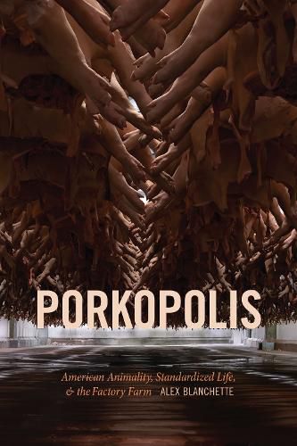 Cover image for Porkopolis: American Animality, Standardized Life, and the Factory Farm