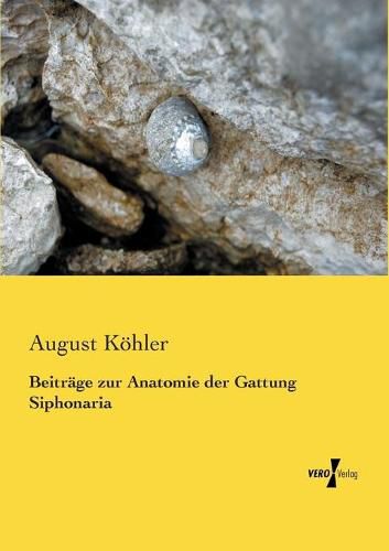 Cover image for Beitrage zur Anatomie der Gattung Siphonaria