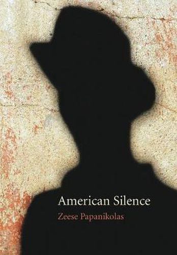 Cover image for American Silence