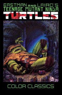 Cover image for Teenage Mutant Ninja Turtles Color Classics, Volume 3