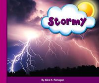 Cover image for Stormy