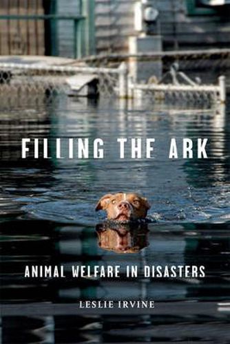 Cover image for Filling the Ark: Animal Welfare in Disasters