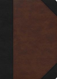 Cover image for CSB Verse-by-Verse Reference Bible, Black/Brown LeatherTouch