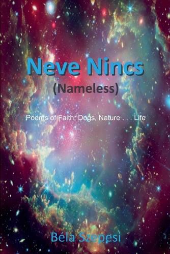 Cover image for Neve Nincs