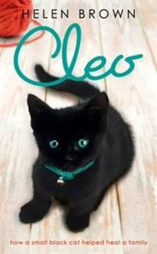 Cleo: How a small black cat helped heal a family