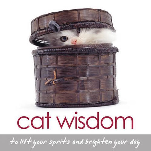 Cover image for Cat Wisdom: To Lift Your Spirits and Brighten Your Day