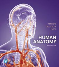 Cover image for Human Anatomy