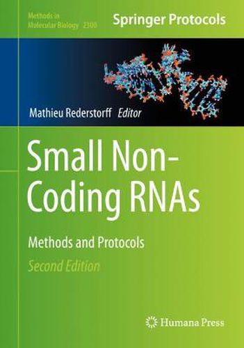 Cover image for Small Non-Coding RNAs: Methods and Protocols