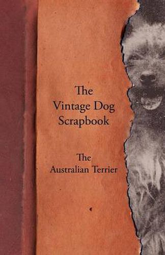 Cover image for The Vintage Dog Scrapbook - The Australian Terrier