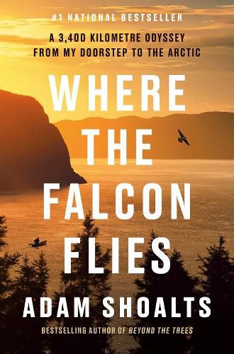 Cover image for Where the Falcon Flies