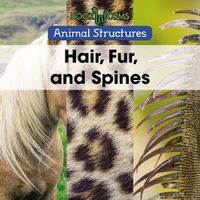 Cover image for Hair, Fur, and Spines
