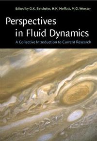 Cover image for Perspectives in Fluid Dynamics: A Collective Introduction to Current Research