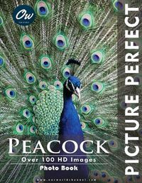 Cover image for Peacock