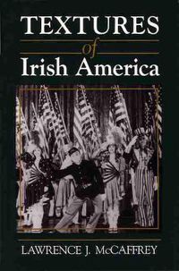 Cover image for Textures of Irish America