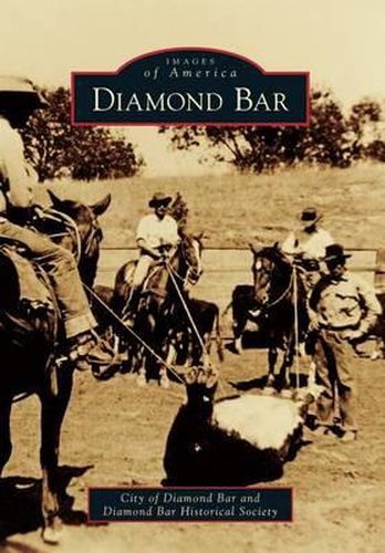 Cover image for Diamond Bar