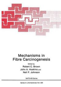 Cover image for Mechanisms in Fibre Carcinogenesis