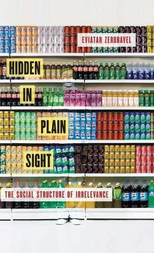 Cover image for Hidden in Plain Sight: The Social Structure of Irrelevance