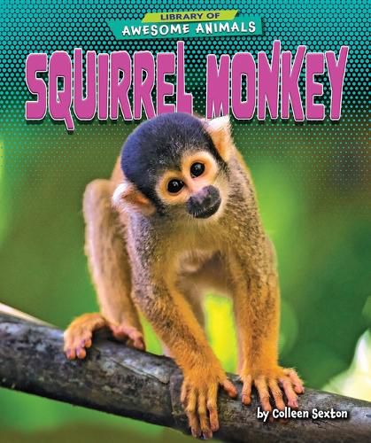 Cover image for Squirrel Monkey