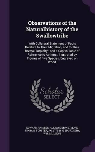 Cover image for Observations of the Naturalhistory of the Swallowtribe