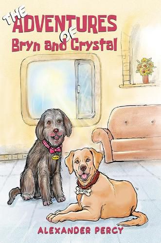 Cover image for The Adventures of Bryn and Crystal