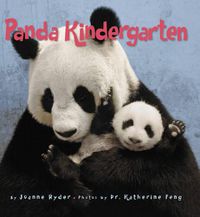 Cover image for Panda Kindergarten