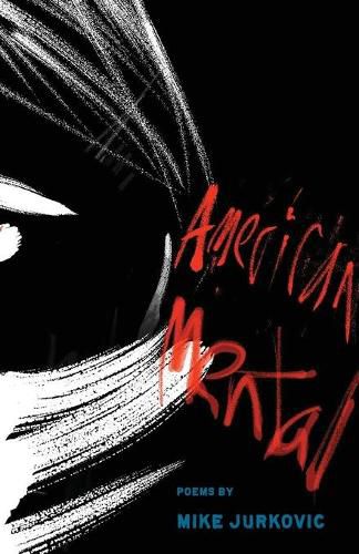 Cover image for AmericanMental