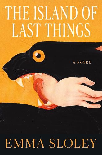 Cover image for The Island of Last Things