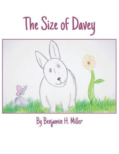 Cover image for The Size of Davey