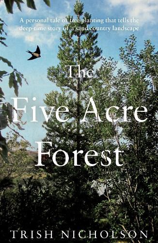 Cover image for The Five Acre Forest