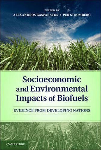 Cover image for Socioeconomic and Environmental Impacts of Biofuels: Evidence from Developing Nations