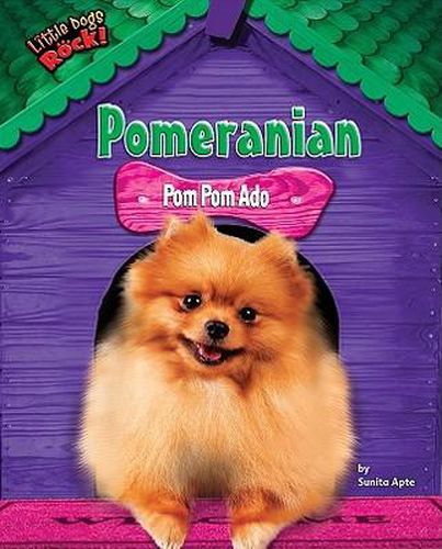 Pomeranian: POM POM ADO