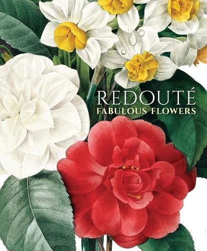 Cover image for Redoute