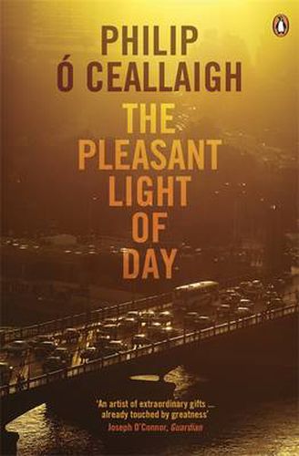 Cover image for The Pleasant Light of Day