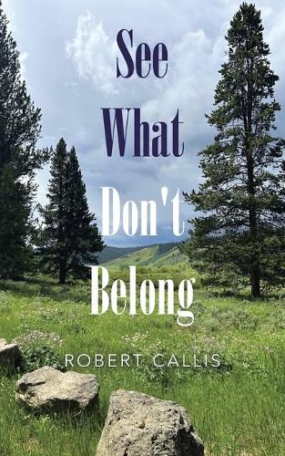 Cover image for See What Don't Belong