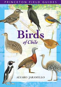 Cover image for Birds of Chile