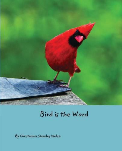 Cover image for Bird is the Word