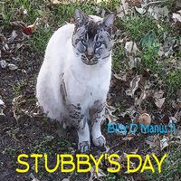 Cover image for Stubby's Day
