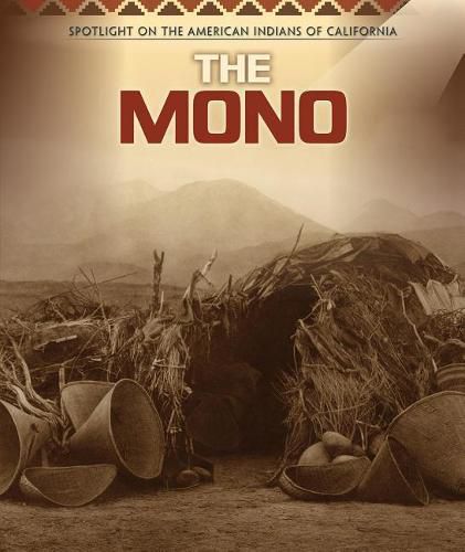 Cover image for The Mono