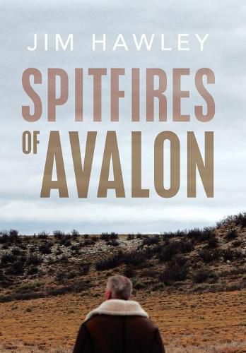 Cover image for Spitfires of Avalon