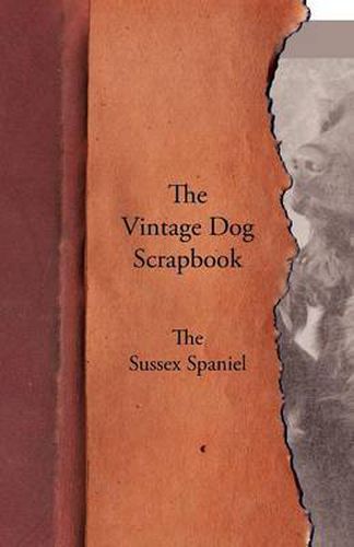 Cover image for The Vintage Dog Scrapbook - The Sussex Spaniel