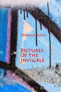 Cover image for Pictures of the Invisible