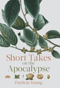 Cover image for Short Takes on the Apocalypse