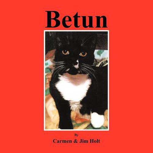 Cover image for Betun