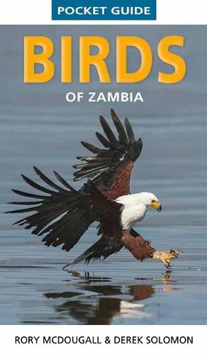 Cover image for Pocket Guide Birds of Zambia