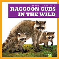 Cover image for Raccoon Cubs in the Wild