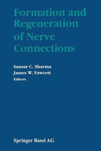Cover image for Formation and Regeneration of Nerve Connections