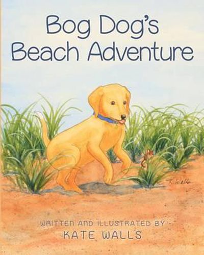 Bog Dog's Beach Adventure