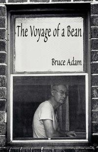 Cover image for The Voyage of a Bean